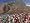 Medieval II: Total War (PC DVD)