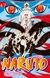 Naruto 47 (Shonen Manga) (Spanish Edition)