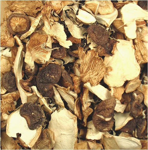 Childrens Toyshop  Gourmet Food : Kinoko Mushroom Mix 8 oz.