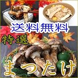 【送料無料】中国産まつたけ（つぼみ）約450g 2Lサイズ（2～4本入)すだち付き マツタケ/松茸