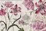 Merian 8-510 Wall Mural