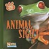 Animal Sight/ La Vista En Los Animales (Animals And Their Senses/Los Sentidos de los Animales)
