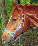 Hamilton Adjustable Leather Headpoll Horse Halter