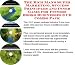 The Rich Man's Super Marketing, Success Principles and Inner Game for Fitness Books Businesses 3 CD Combo Pack
