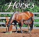 Horses 2009 Wall Calendar