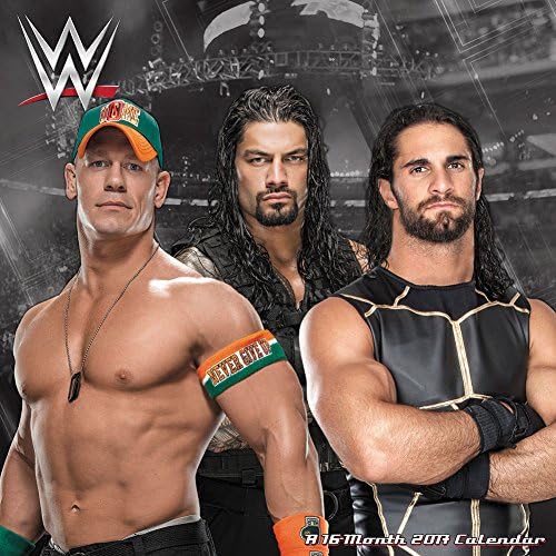 2017 WWE Pro Wrestling John Cena Superstar Wrestlers 16-Month Wall Calendar