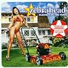 Image de l'album de Zebrahead