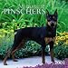 Miniature Pinschers 2001 Calendar