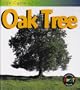 Oak Tree (Life Cycle of A...)