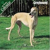 Greyhound 2007 Wall Calendar