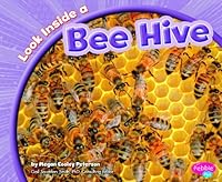 Look Inside a Bee Hive (Look Inside Animal Homes)
