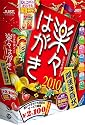 楽々はがき2010 開運年賀状
