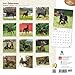 Dobermans 2016 Square 12x12