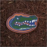 Florida Gators NCAA Stepping Stone by New Creative