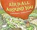 Air Is All Around You (Let's-Read-and-Find-Out Science 1)
