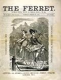 The Ferret 1870 Art Poster Print A4