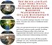 The Quick and Easy Earn More Money, Success Principles and Sales Models for Basement Waterproofing On-line Businesses 3 CD Power Pack