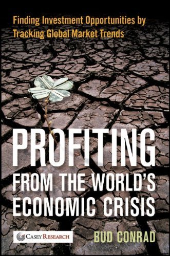 Profiting from the World's Economic Crisis: Finding Investment Opportunities by Tracking Global Market Trends Hardcover - April 26, 2010