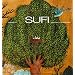 Sufi: Expressions of the Mystic Quest (Art and Imagination)