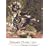 Demonic Divine: Himalayan Art and Beyond