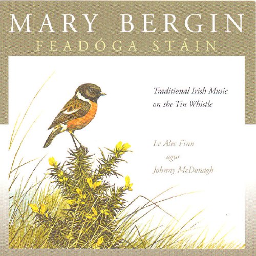 MARY BERGIN : FEADOGA STAIN