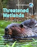 Threatened wetlands