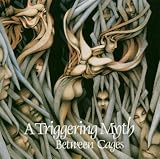 Between Cages