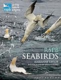 RSPB seabirds