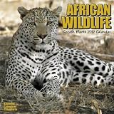 AFRICAN WILDLIFE 2012 Wall Calendar 12