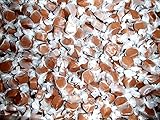 Salt Water Taffy Chocolate Flavored 1 Pound (16 Oz)