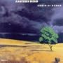 Eastern Wind