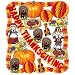 Search : Happy Thanksgiving Decorating Set
