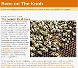 Bees on the Knob