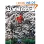 Gabriel Orozco
