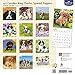 Cavalier King Charles Spaniel Puppies 2017 Calendar