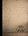 Books : (Reprint) 1962 Yearbook: Sam Houston High School, Houston, Texas