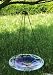 Bold Bloom Hanging Birdbath