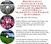 The Guerilla Marketing, Building Effective Lead Capture Web Pages, Affiliate Marketing for Diaries Businesses