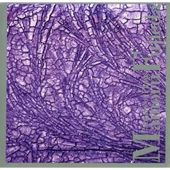 Patterns of Plants by  Mamoru Fujieda 