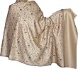 Kashmir Shawls Stole with Embroidery on Wool Fabric 80 x 40 inches (ebs248)