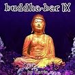 Buddha-Bar Vol.9