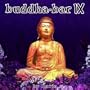 Buddha-Bar, Vol. 9