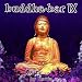 Buddha-Bar / Vol.9