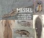 Messel: An Insight into the History of Life and of the Earth