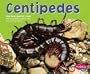 Centipedes (Bugs Bugs Bugs)