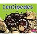 Centipedes (Bugs Bugs Bugs)