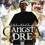 Best of Gangsta Dre