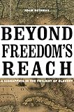 Beyond freedom's reach : a kidnapping in the twilight of slavery