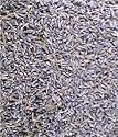Culinary Lavender 4 oz.