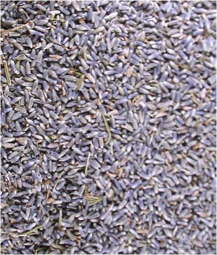 Childrens Toyshop  Gourmet Food : Culinary Lavender 4 oz.